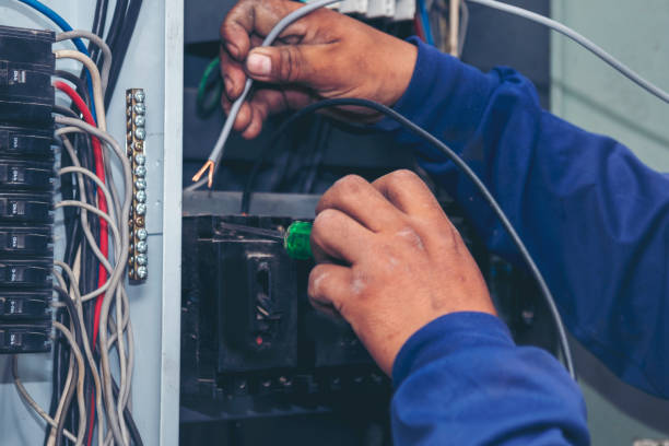 Best Electric Panel Repair  in Saucier, MS